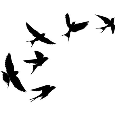 Flying Birds Thumbnail