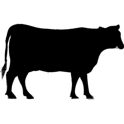 Cow Thumbnail