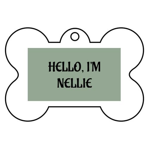 Pets and Animals Thumbnail